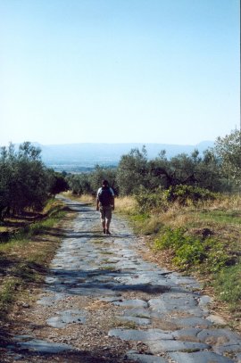 basolato dopo
Montefiascone
(27948 bytes)